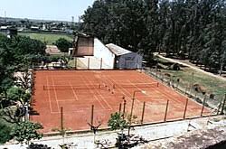 Canchas de tenis del club